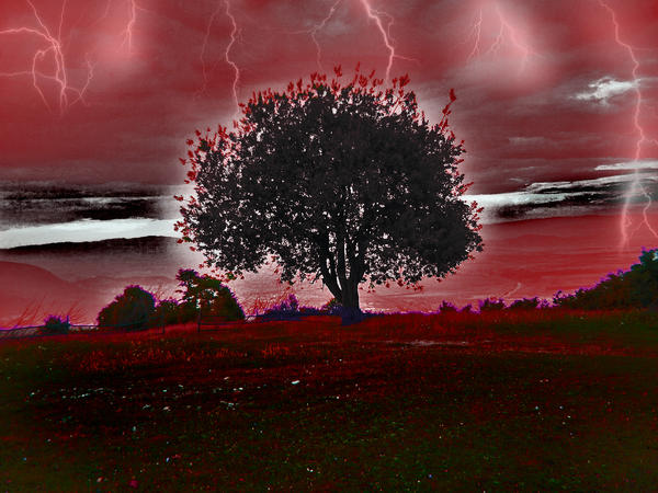 The tree by bodoem99 on DeviantArt