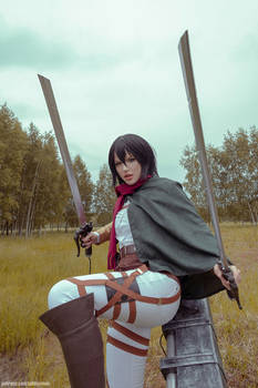 Mikasa by Lada Lyumos