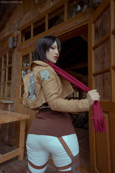 Mikasa by Lada Lyumos