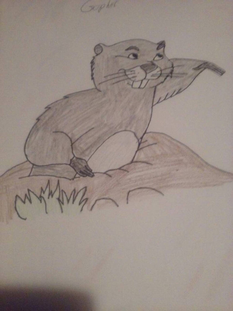 Horned Gopher Deviantart Gopher by SpiderPrime22 on DeviantArt