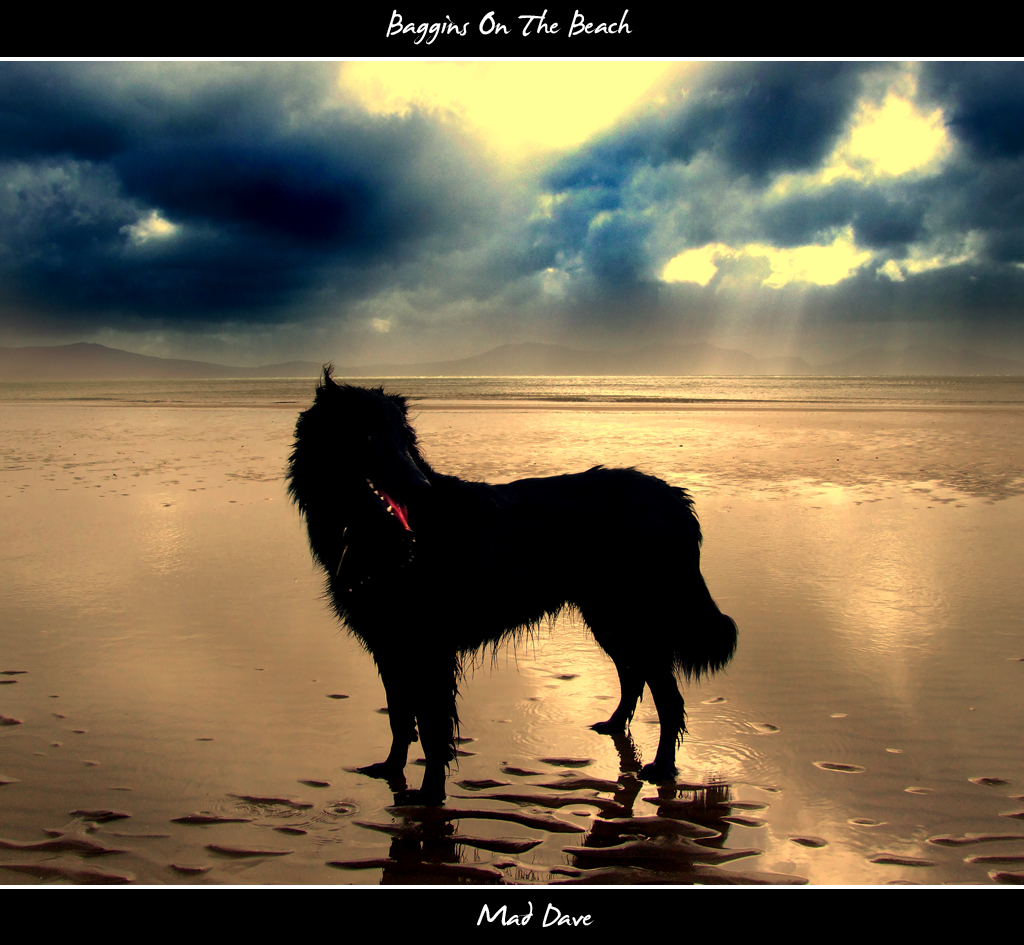 Baggins On The Beach