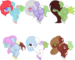 Pearl Pony Adopts