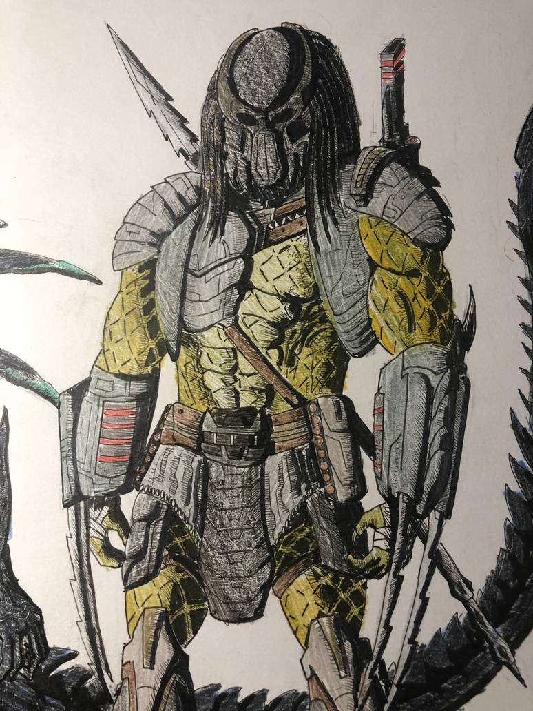Predation Drawinf The Predator by Znakeman on DeviantArt