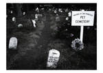 Pet Cemetary by MrGlory