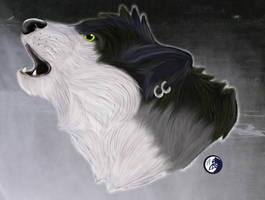 London,Wolf Form Portrait