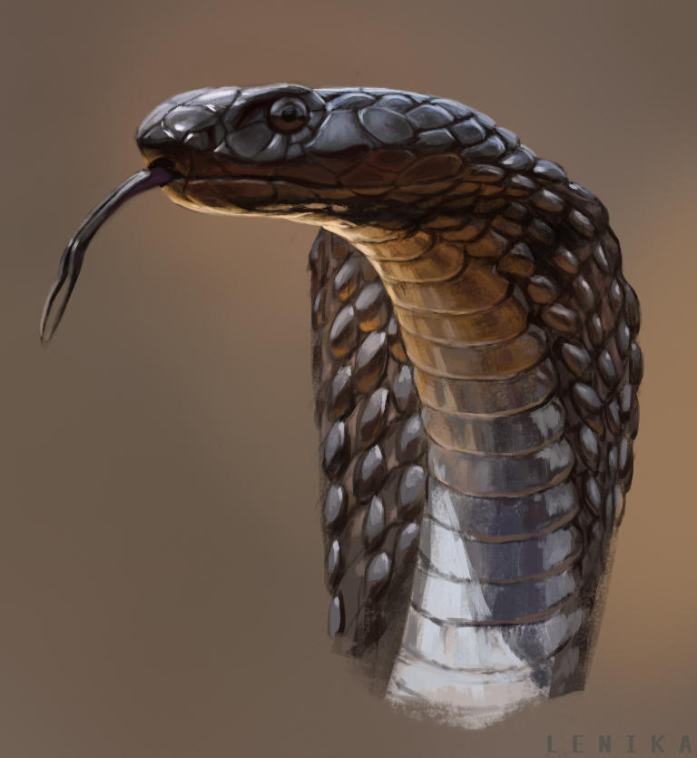 Snake by Lenika86 on DeviantArt