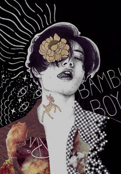 bambi boy