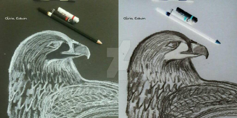 inverted drawings by olivzlivz on DeviantArt