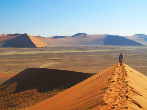 Sunny Sandscape