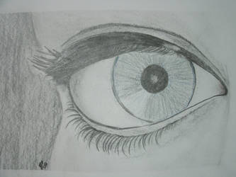 Eye