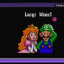 Luigi wins