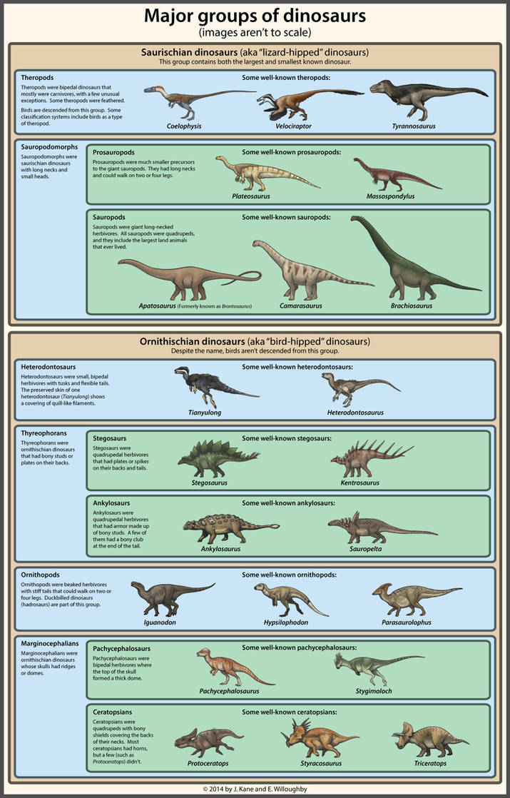 A simple guide to dinosaur classification by Agahnim