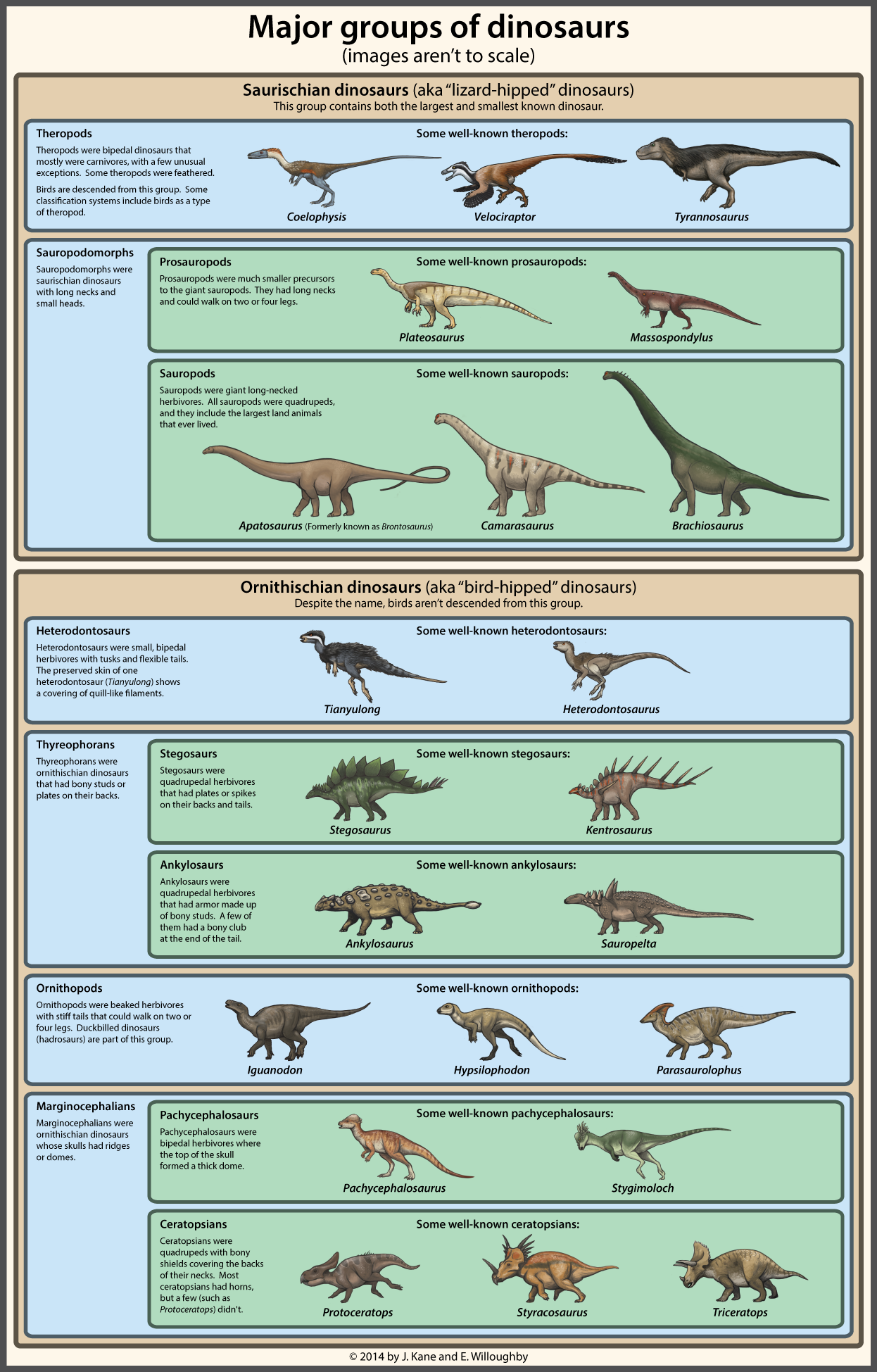 A simple guide to dinosaur classification