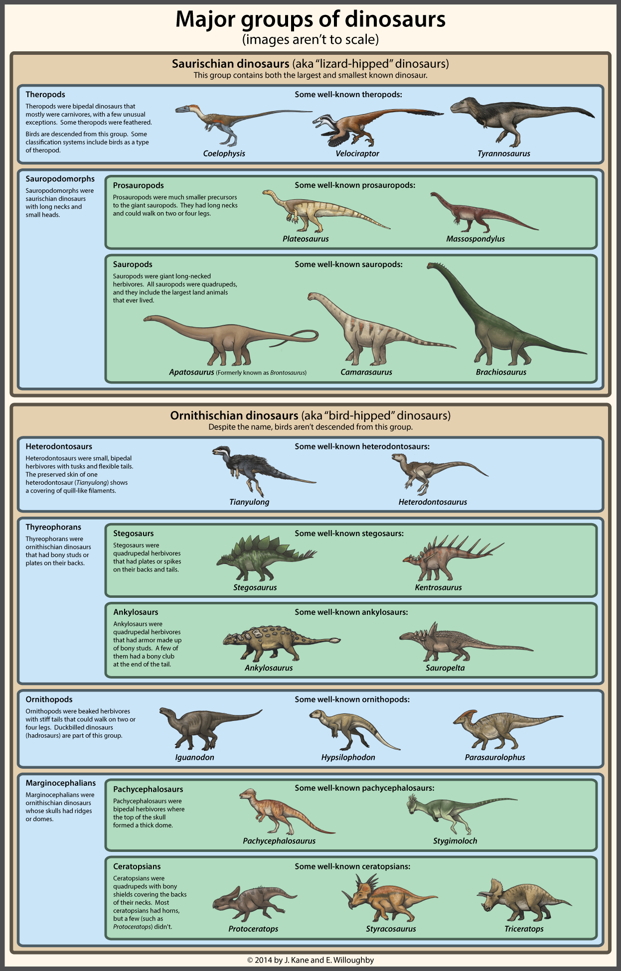 A simple guide to dinosaur classification by Agahnim