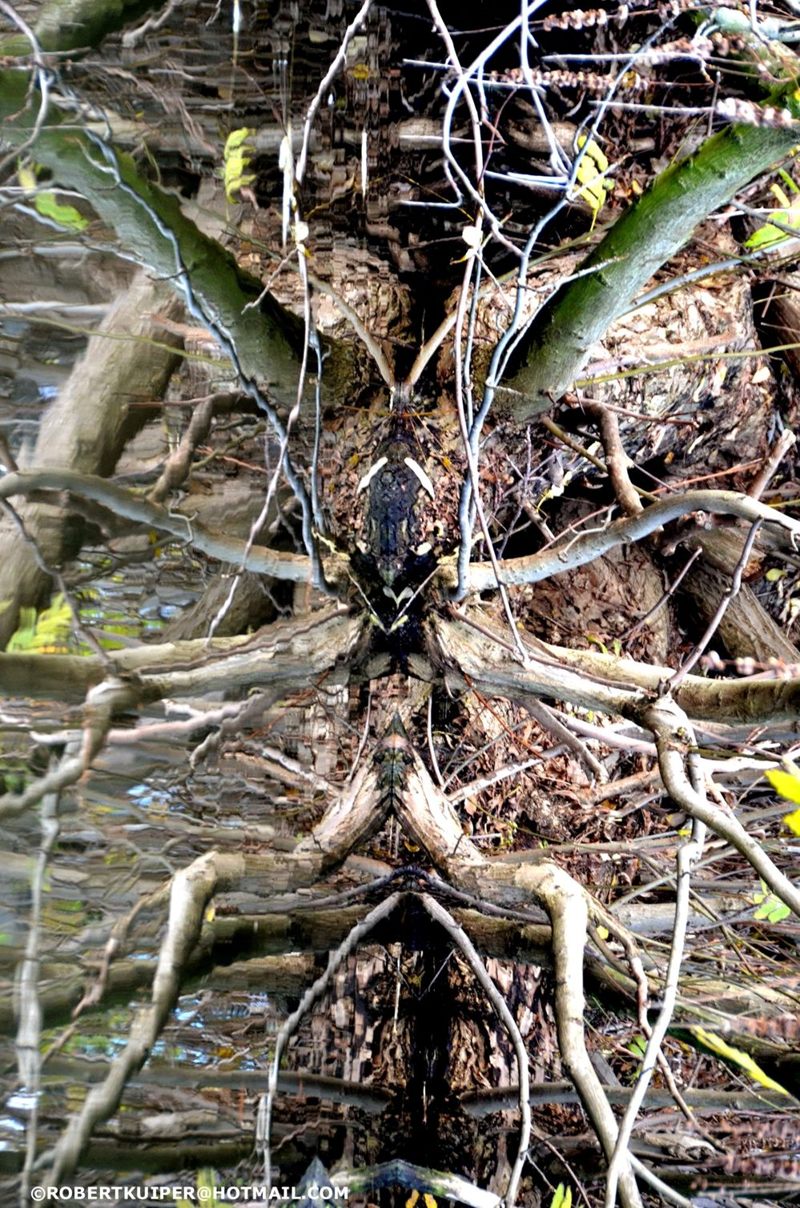 TREE ALIEN by Robert-Kuiper on DeviantArt