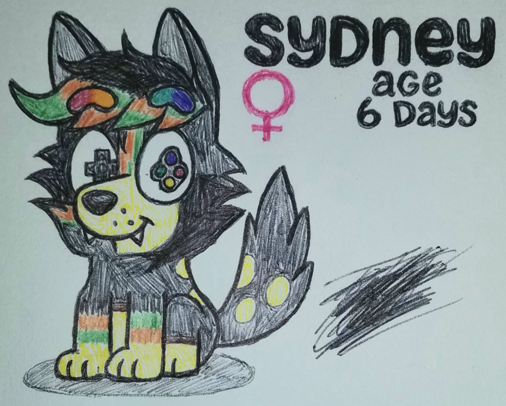 Kata Sydney-chan (For JustinandDennis)