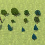 Some Trees