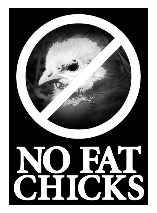 No Fat Chicks