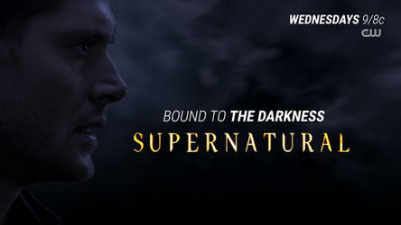 Supernatural - Season 11 - Darkness Poster 1