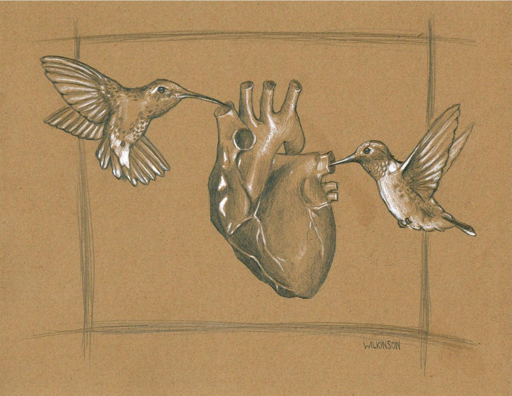 Hummingbird heart