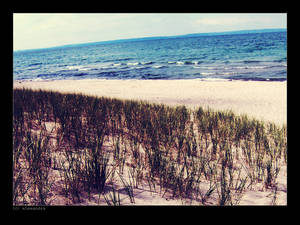 Beach Dunes