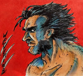 Wolverine