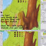 Woods path BG Tutorial -tree