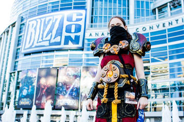 Blizzcon 2013!