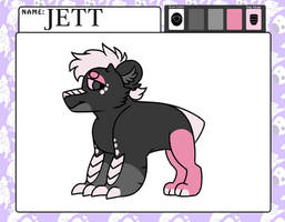 Jett [APP]