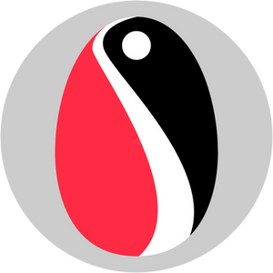 Janusart Logo