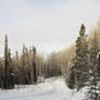 Snowy backroad