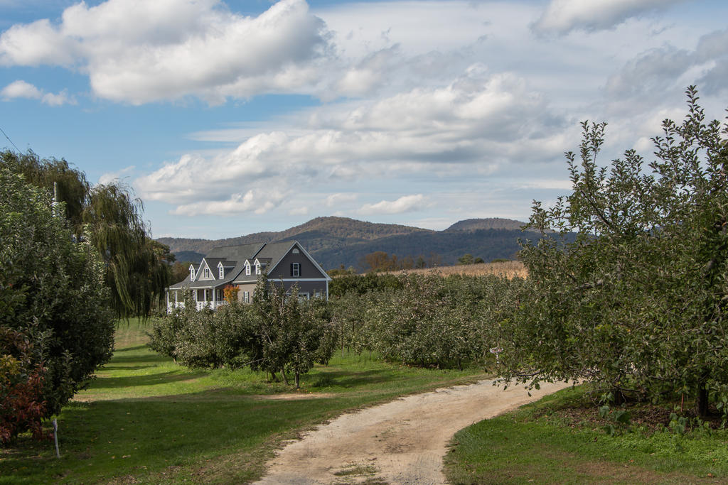 American Farms