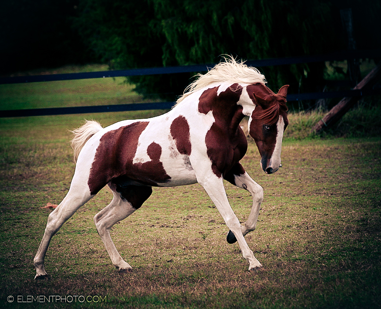 d4ervyi-5af317a1-d0fe-45bb-bf67-8539cade82e3.jpg?token=eyJ0eXAiOiJKV1QiLCJhbGciOiJIUzI1NiJ9.eyJzdWIiOiJ1cm46YXBwOjdlMGQxODg5ODIyNjQzNzNhNWYwZDQxNWVhMGQyNmUwIiwiaXNzIjoidXJuOmFwcDo3ZTBkMTg4OTgyMjY0MzczYTVmMGQ0MTVlYTBkMjZlMCIsIm9iaiI6W1t7InBhdGgiOiJcL2ZcL2NhOTM2MzY5LWVkODYtNDNmMy1hZDEwLTg4MDQ4MDRhNTE3NFwvZDRlcnZ5aS01YWYzMTdhMS1kMGZlLTQ1YmItYmY2Ny04NTM5Y2FkZTgyZTMuanBnIn1dXSwiYXVkIjpbInVybjpzZXJ2aWNlOmZpbGUuZG93bmxvYWQiXX0.1eCKBlwf1UfUeUY6GT2JydXresRr1ntlRZA2FWMtvX4