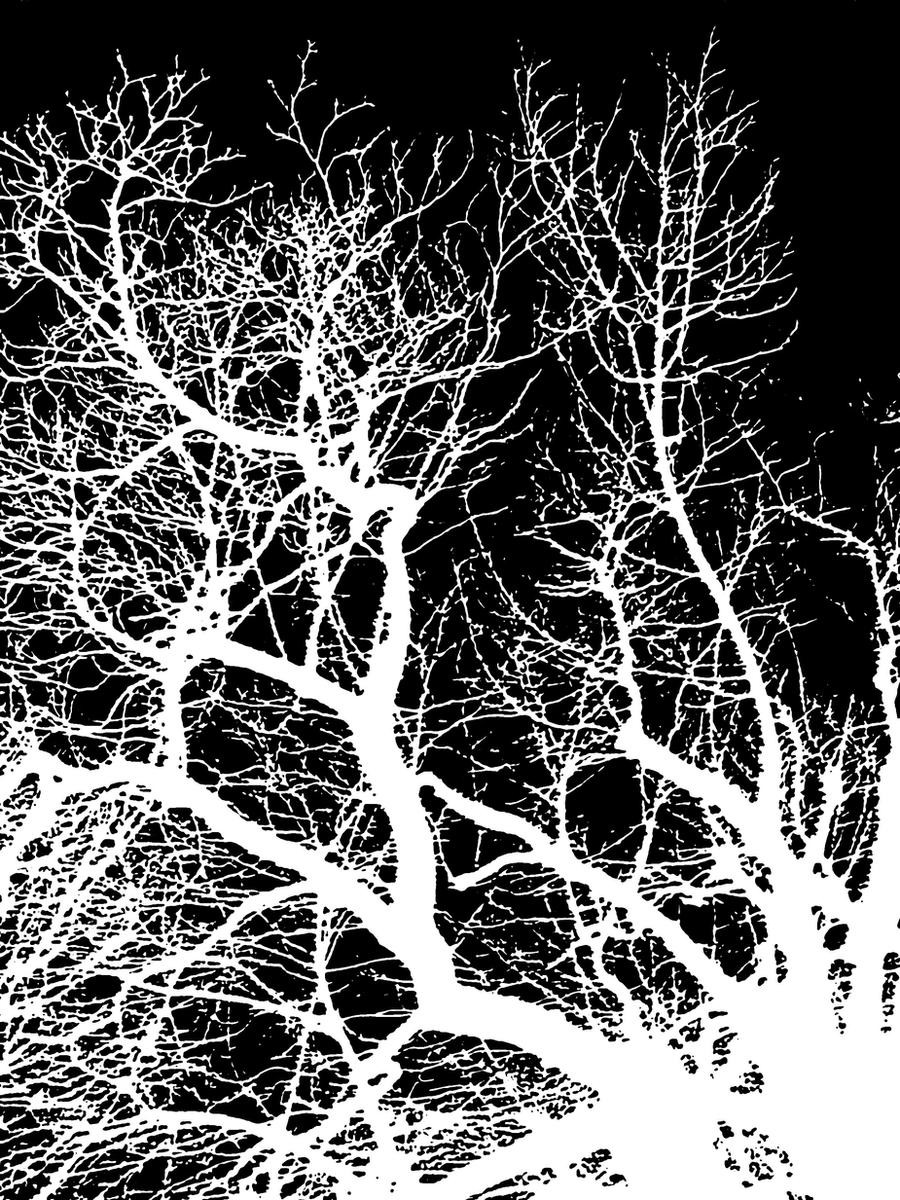 Splattering Tree Tree Print - Splatter by Tsubasa-Strange on DeviantArt