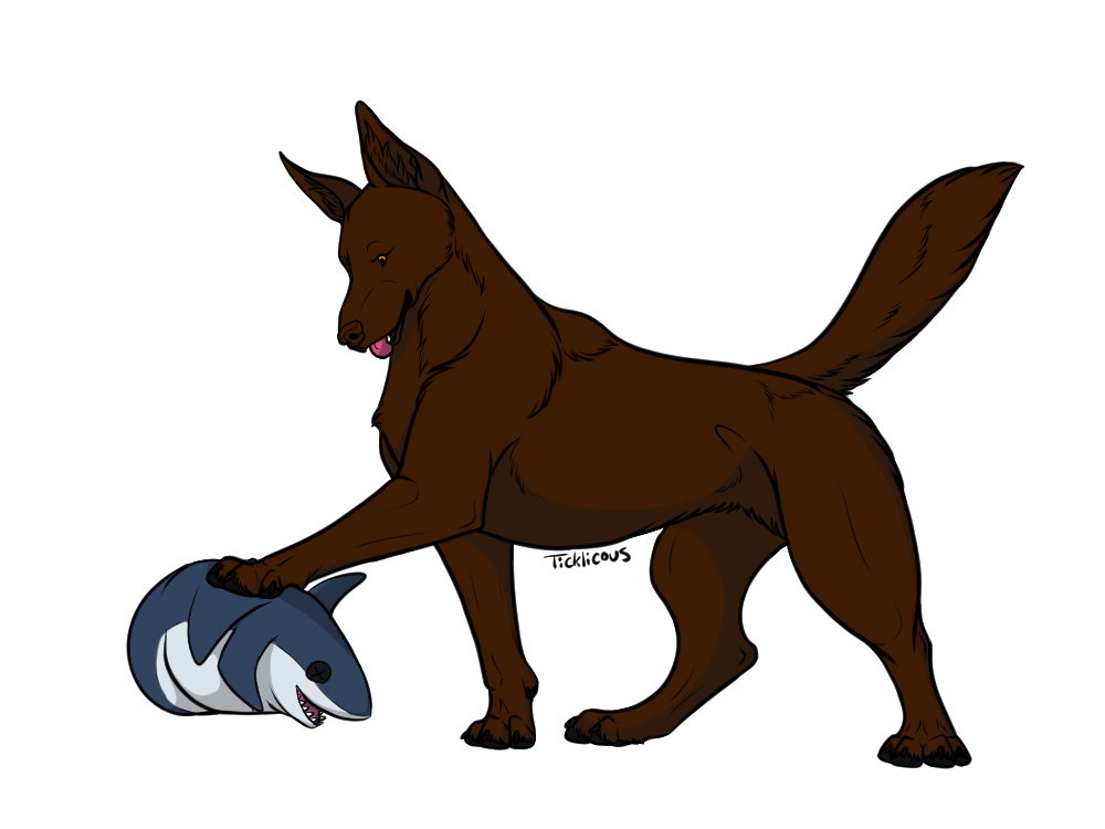 Chocolate shepherd sales