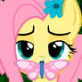 Mlp fluttershy