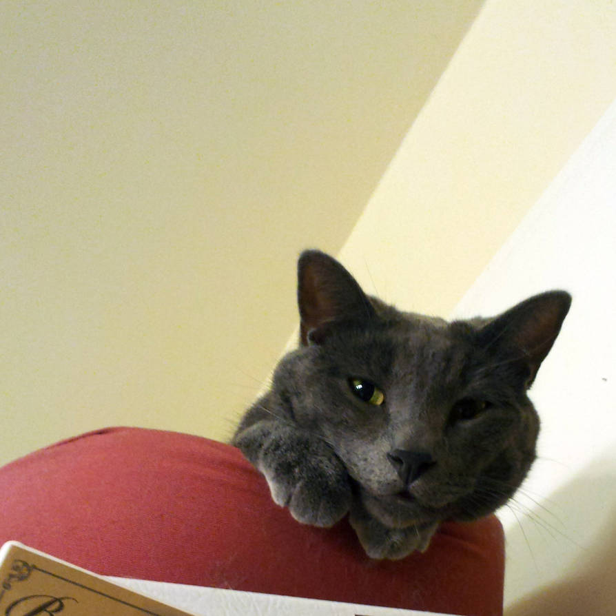 Morning Fred, Morning Ralph... by scuzzy5005 on DeviantArt