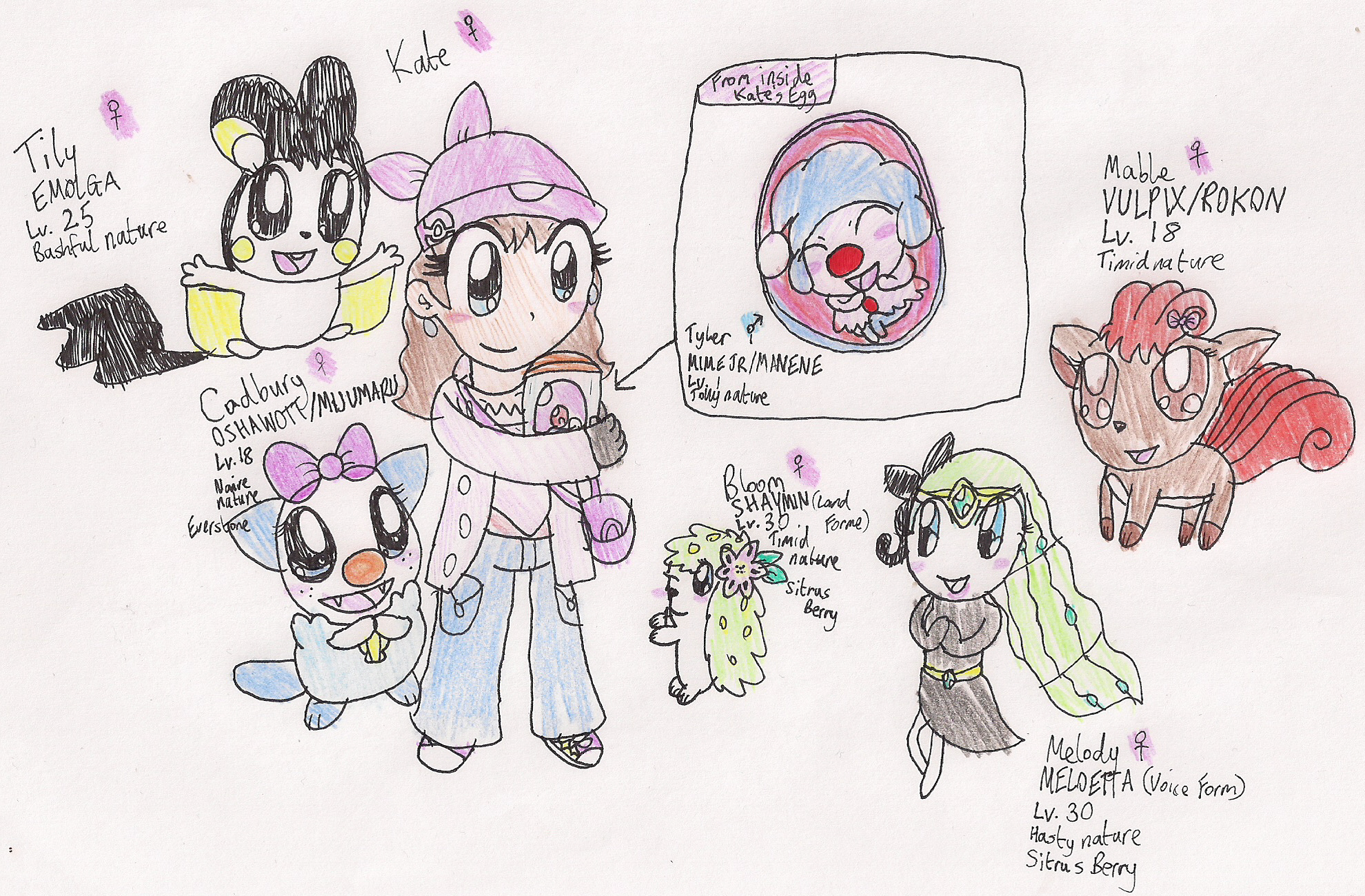 Unova Starter Pokemon Families by Tails19950 on DeviantArt