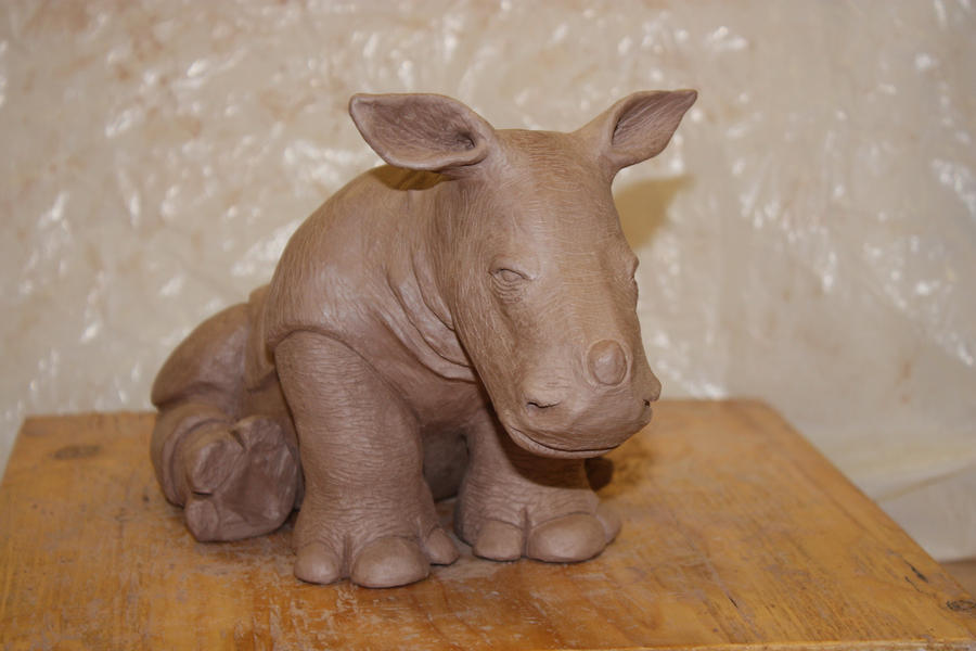 Baby Rhino