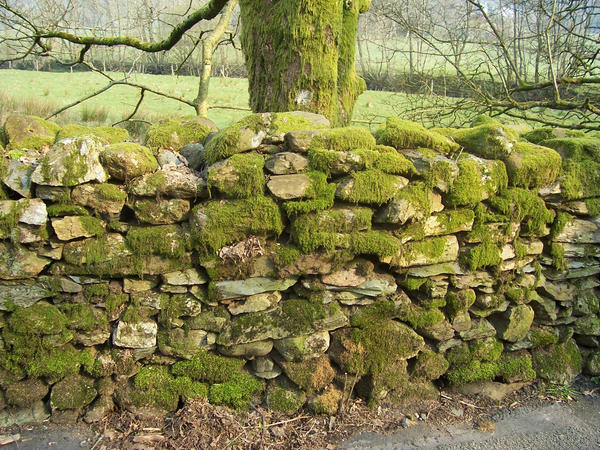 LD07 Stone Wall