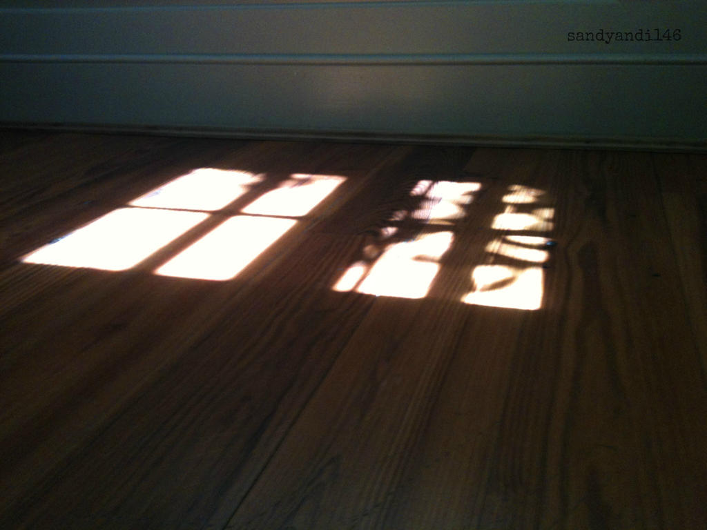 Shadows in the Light