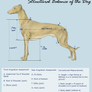 Structural Balance of the Dog