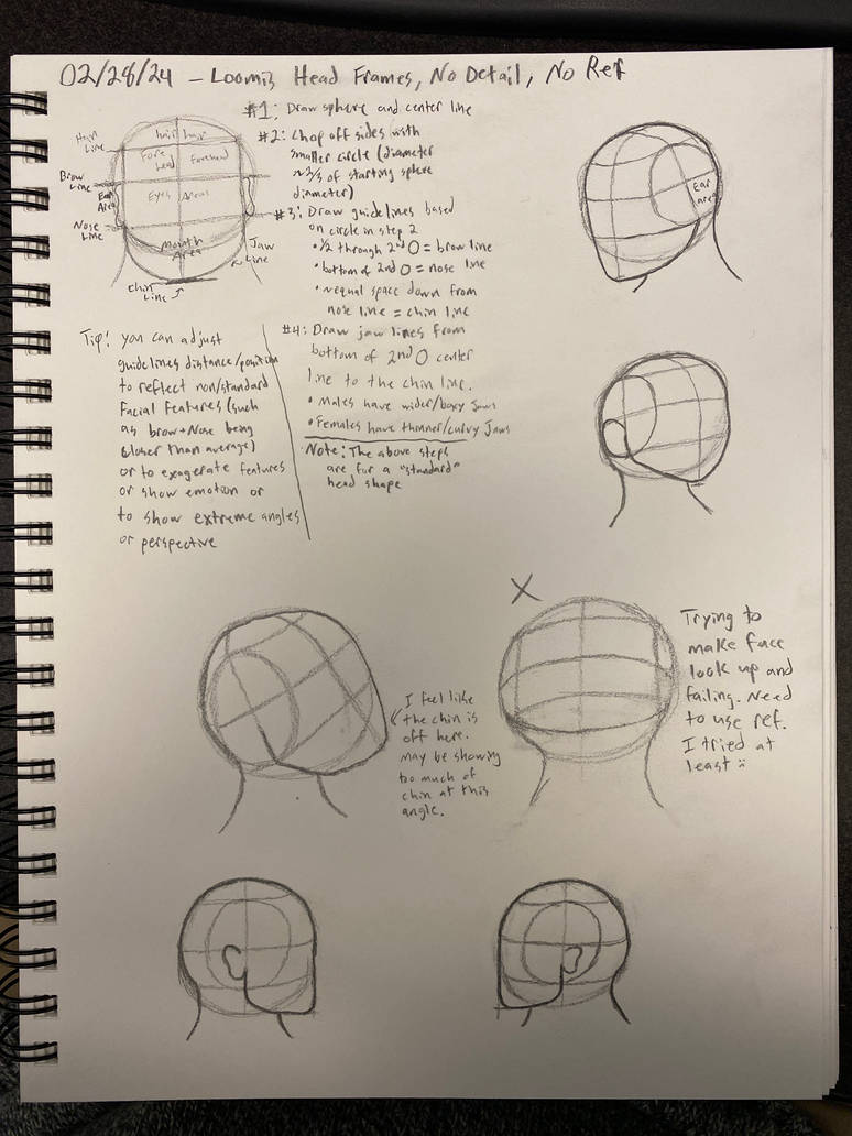 02/28/24: Loomis Head Frames (No Details, No Ref) by Skulthuggery on ...