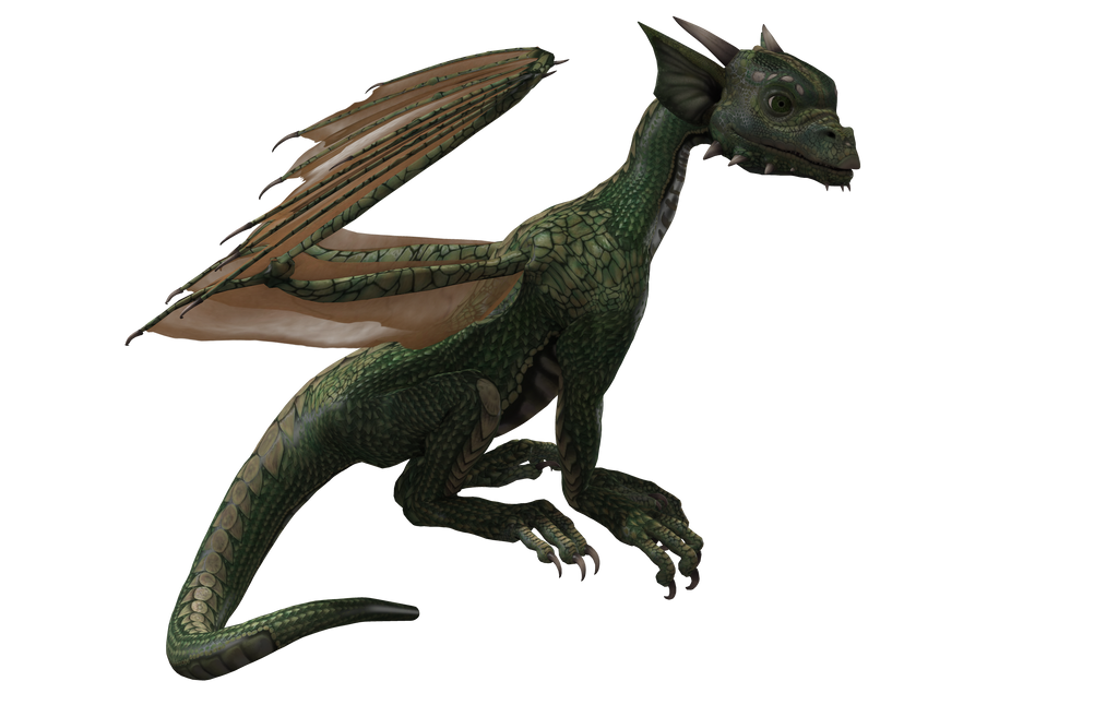 Millennium Hatchling Dragon 01