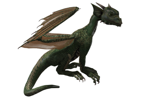 Millennium Hatchling Dragon 01