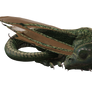 Millennium Hatchling Dragon 11