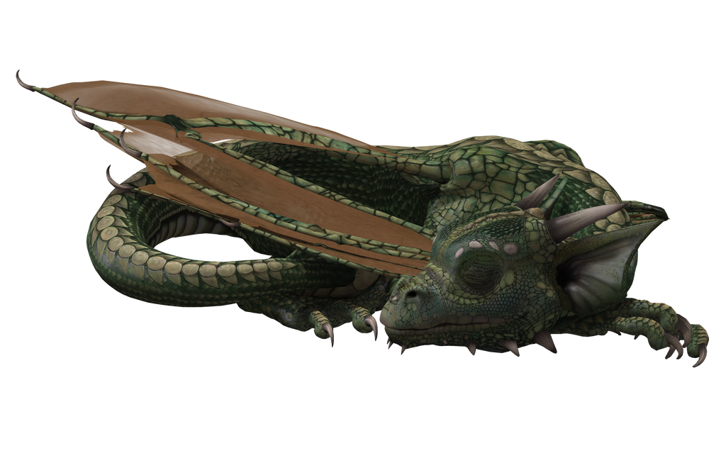 Millennium Hatchling Dragon 11