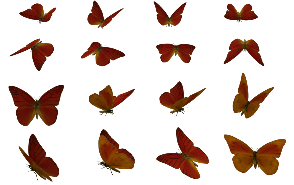 Set (2)