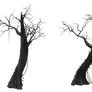 Dead Tree 01