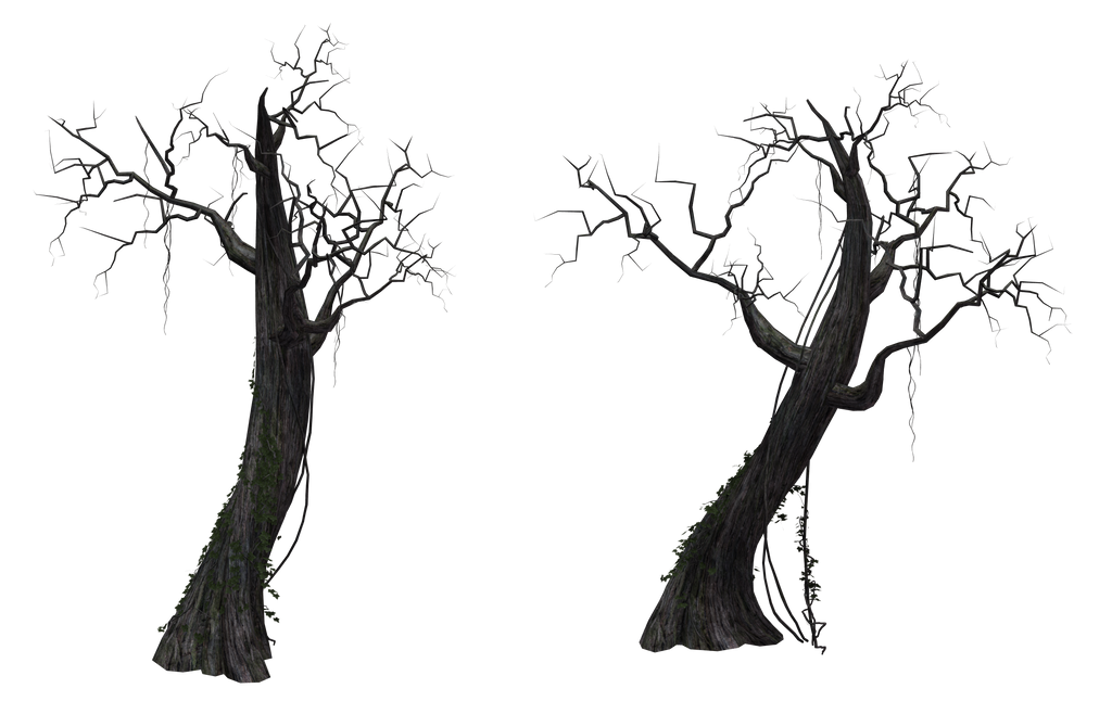 Dead Tree 01 by Free-Stock-By-Wayne